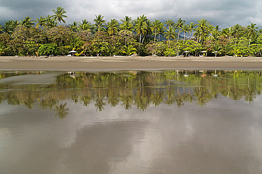 空,海滩,棕榈树,海洋,哥斯达黎加