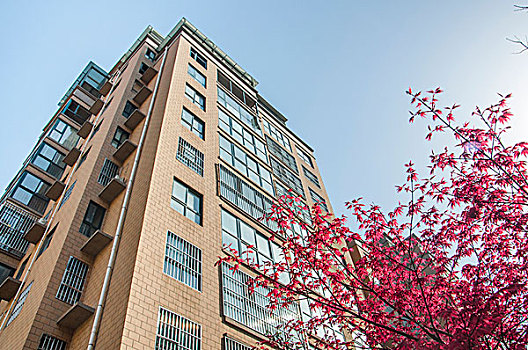 樓宇建筑