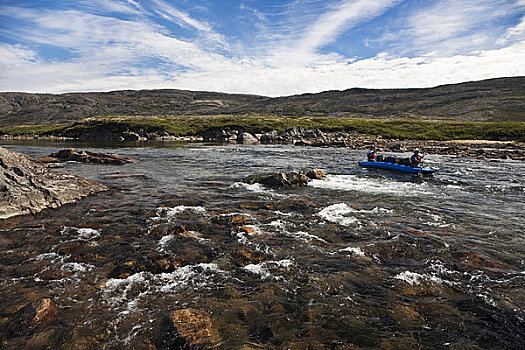 人,独木舟,河,自然保护区,巴芬岛,加拿大