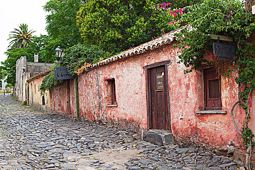 乌拉圭,萨克拉门托,粉色,路,小路,时间,葡萄牙,殖民地,17世纪