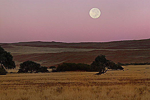纳米比亚,沙漠,国家公园,满月,高原