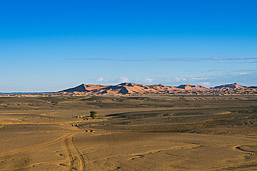 沙丘,却比沙丘,梅如卡,区域,摩洛哥,非洲
