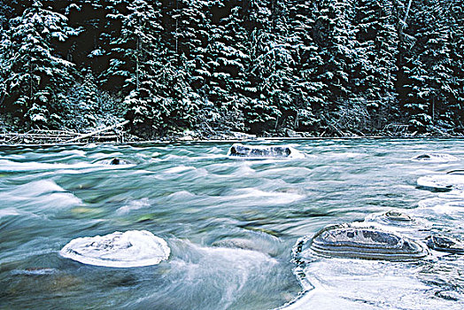河,冬天,不列颠哥伦比亚省,加拿大