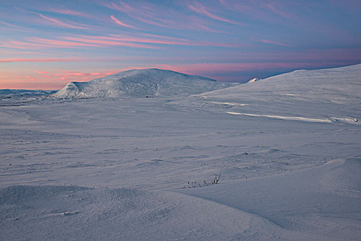 冬天,多云,晨空,国家公园,挪威,欧洲