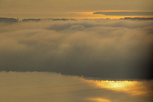 湖,遮盖,雾,手臂,半岛,温哥华岛,不列颠哥伦比亚省,加拿大