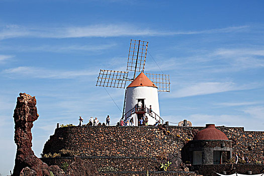 风车,仙人掌,设计,瓜地扎,兰索罗特岛,加纳利群岛,西班牙,欧洲