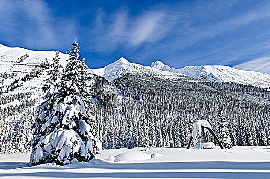 冬天,顶峰,冰川国家公园,不列颠哥伦比亚省,加拿大