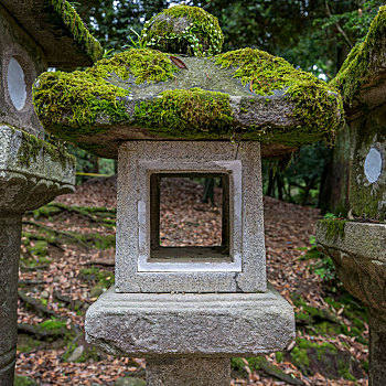 日本奈良春日大社森林里的石灯笼