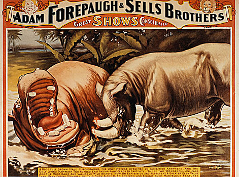 亚当,销售,兄弟,河马,两个,有角,东印度,犀牛,马戏团,海报,娱乐,动物,历史
