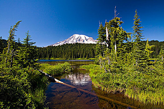 雷尼尔山,雷尼尔山国家公园,华盛顿,美国