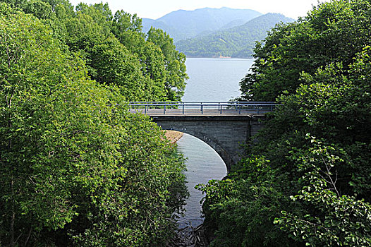 斑点,湖,桥,北海道,日本