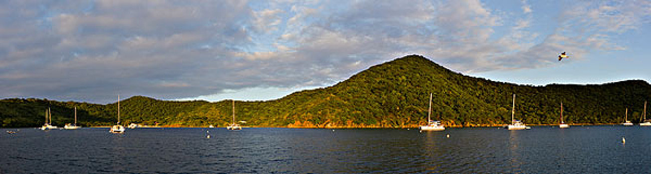 加勒比,英属维京群岛,日出,全景,小湾,岛屿