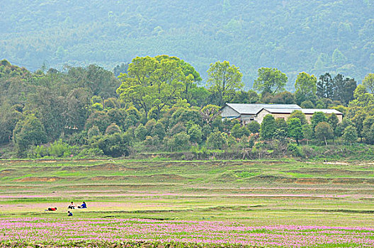 田园风光