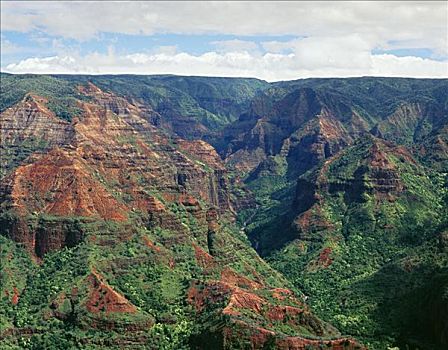 夏威夷,考艾岛,威美亚峡谷,峭壁,茂密,绿色植物