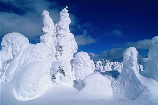 雪,灵异,太阳,顶峰,不列颠哥伦比亚省,加拿大