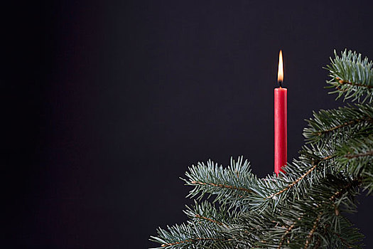 红色,蜡烛,圣诞树