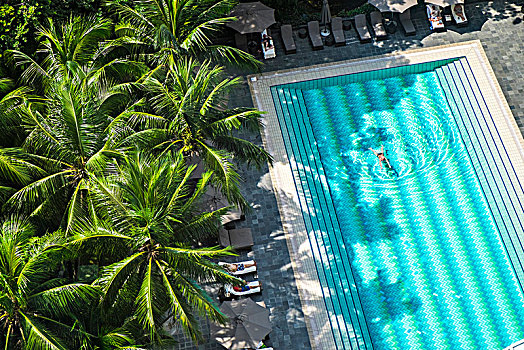 俯拍,游泳池,排列,棕榈树