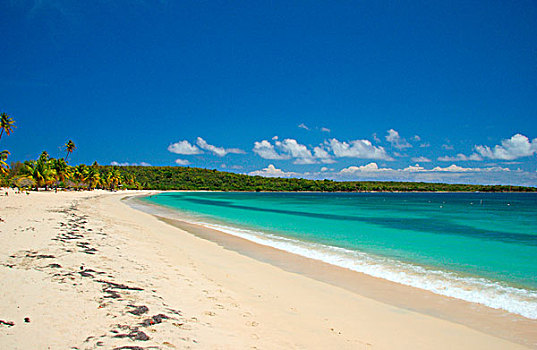 完美,加勒比海,海滩,太阳,湾,岛屿,波多黎各