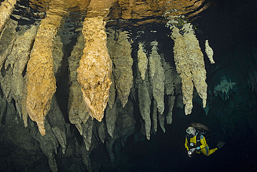 潜水,钟乳石,吊灯,洞穴,帕劳,密克罗尼西亚,大洋洲