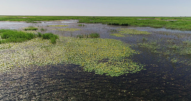 航拍内蒙古乌兰淖尔国家湿地公园美景