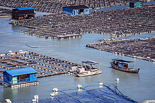 福建宁德东安岛海上之城,海上渔排