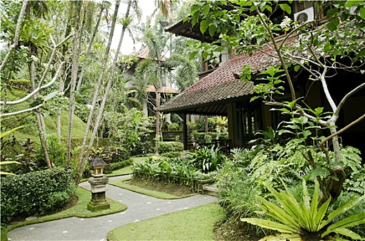 热带,花园,巴厘岛,印度尼西亚