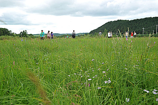 河北承德塞罕坝清凉游