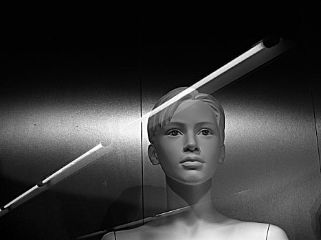 头部,肩部,人体模型,银,背景,后面,玻璃,店,窗户