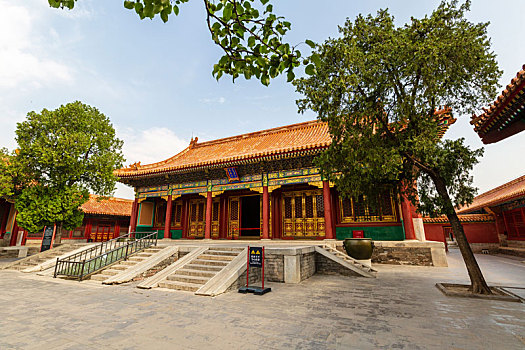 北京故宫外西路寿康宫