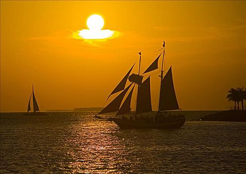 剪影,帆船,海中,日落,基韦斯特,佛罗里达,美国