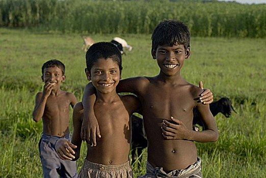 乡村,孩子,给,姿势,照片,山羊,草场,孟加拉,六月,2007年,黑色,状况,牲畜,抬起