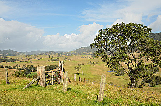 乡村,靠近,格洛斯特,新南威尔士,澳大利亚