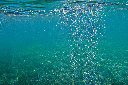 水下,泡泡,海洋