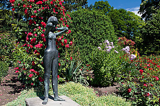 雕塑,玫瑰,花园,盛开,多特蒙德,区域,北莱茵威斯特伐利亚,德国,欧洲