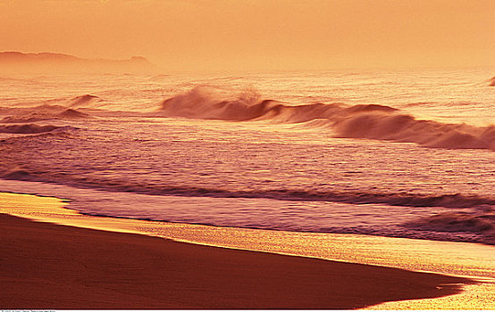 日出,上方,水,印度洋,自然保护区,南非