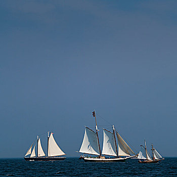 美国,马萨诸塞,海港,纵帆船,节日,大幅,尺寸