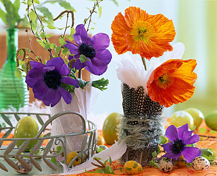紫色,银莲花,橙色,罂粟属,丝绸,罂粟