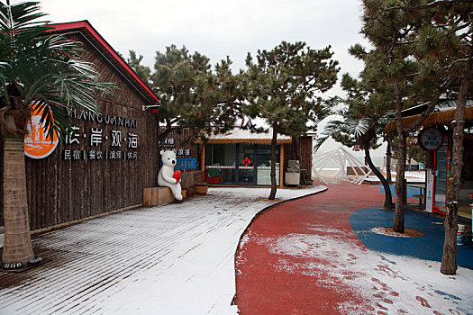 龙年第一场雪悄然而至,游客兴奋异常海边赏雪