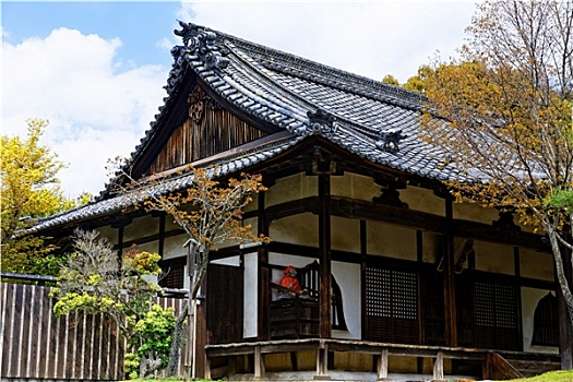 传统,木屋,日本
