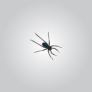蜘蛛,象征