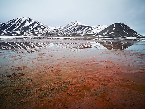 峡湾,红藻,陆地,斯匹次卑尔根岛,岛屿,斯瓦尔巴群岛,斯瓦尔巴特群岛,挪威,欧洲