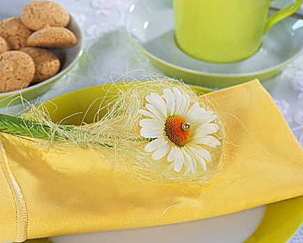 雏菊,布餐巾