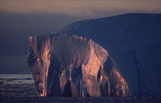 冰山,靠近,半岛,南极