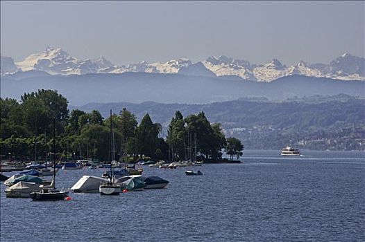 苏黎世,湖,高山,全景,靠近,瑞士