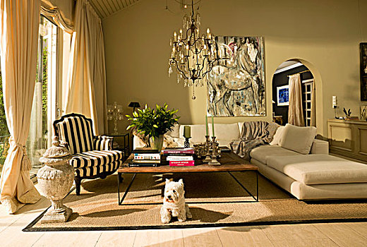 室内,苍白,自然,彩色,经典,优雅,座椅,现代,绘画,马,背景