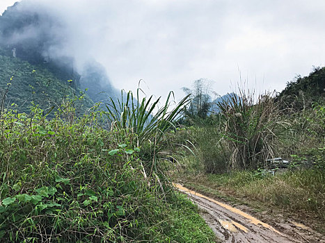 乡间小路,喀斯特地貌,山,阳朔