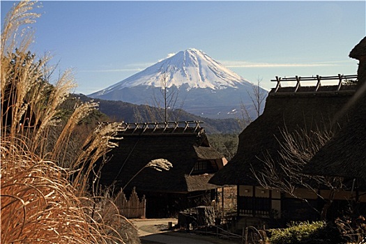 日本,茅草屋顶,房子,山,富士山