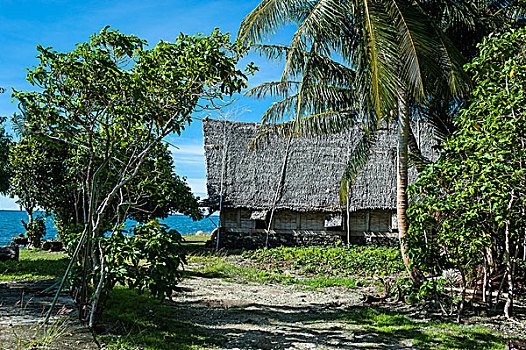 传统,茅草屋顶,小屋,岛屿,雅浦岛,密克罗尼西亚
