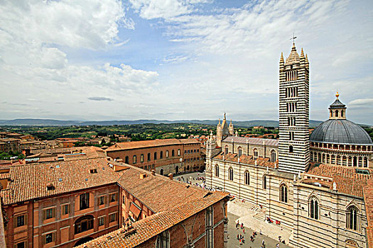 大教堂,圣母升天教堂,风景,墙壁,锡耶纳,托斯卡纳,意大利,欧洲