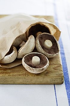 波多白洛大蘑菇,蘑菇,纸袋,案板